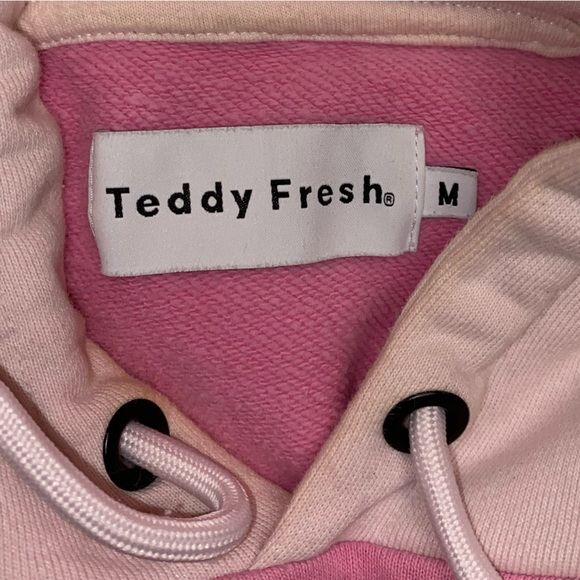 TEDDY FRESH LIMITED EDITION CLASSIC COLORBLOCK HOODIE - Picture 5 of 5